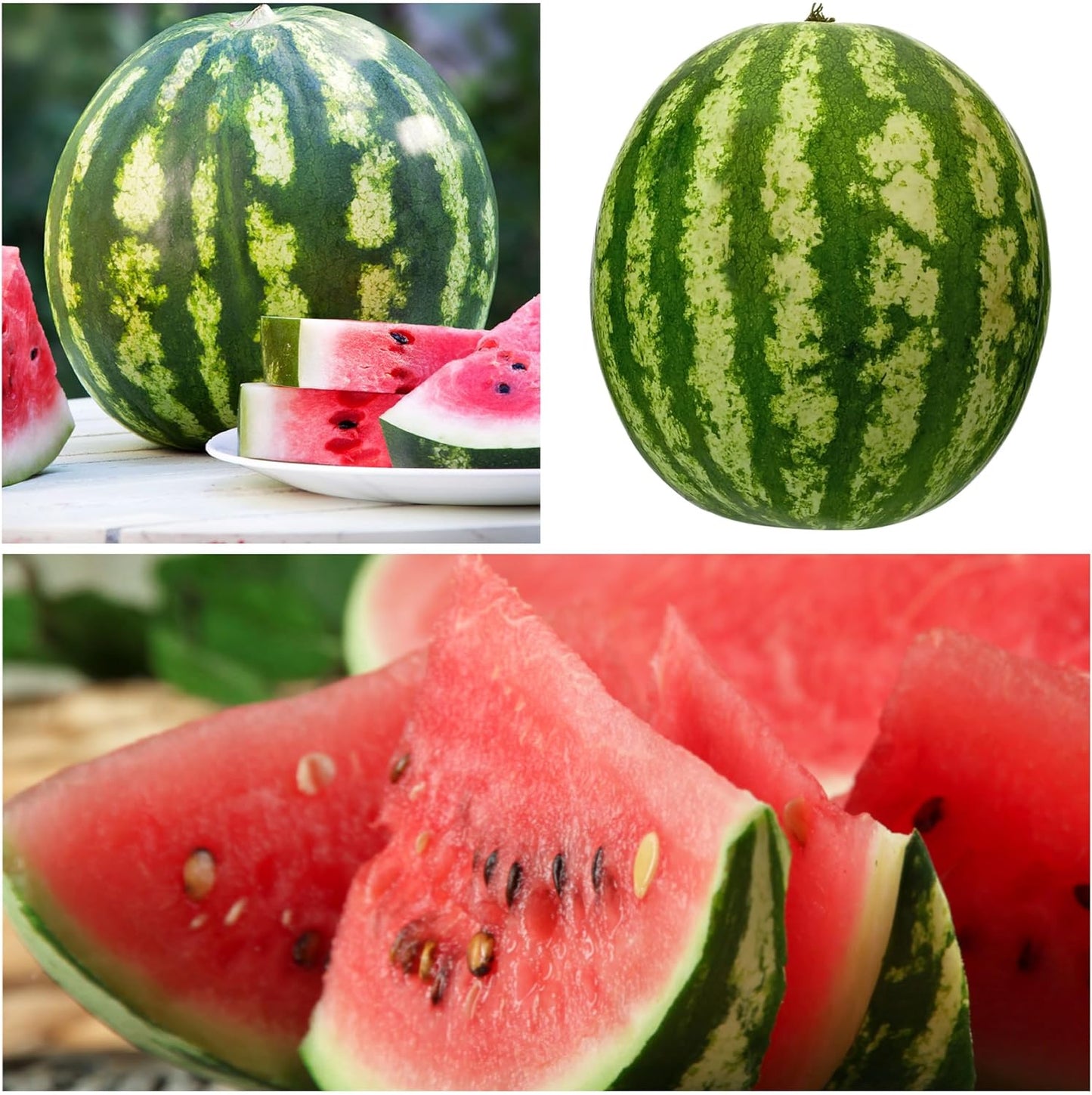 🍉Ruby Watermelon Pot Seeds🌱✨50 capsules-6