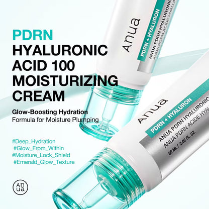 PDRN Hyaluronic Acid 100 Moisturizing Cream-1