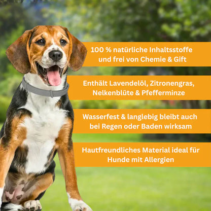 Floh- und Zeckenschutz Halsband für Hunde-1
