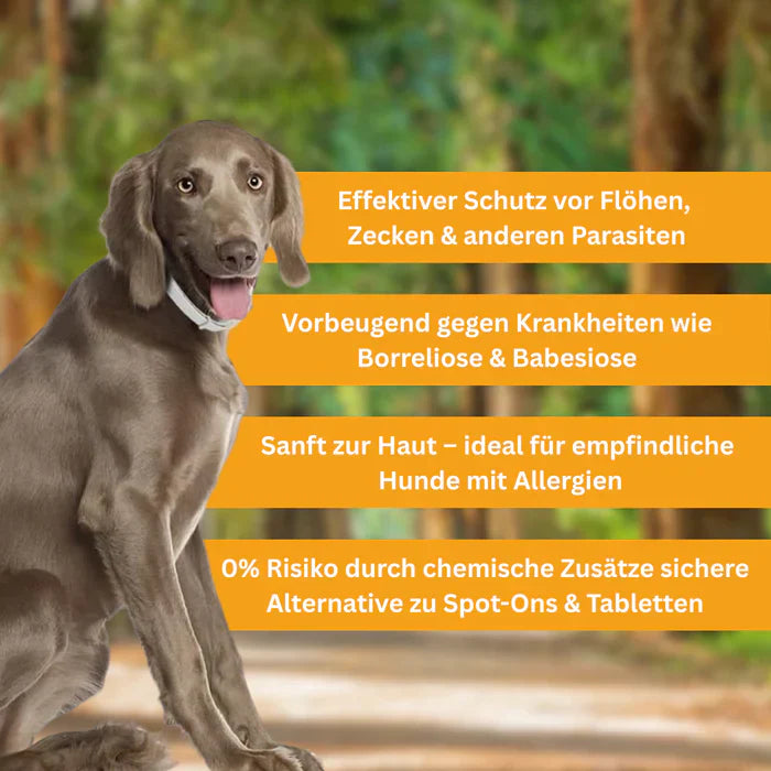 Floh- und Zeckenschutz Halsband für Hunde-2
