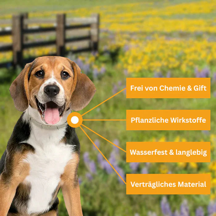 Floh- und Zeckenschutz Halsband für Hunde-3
