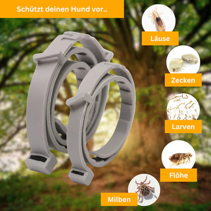Floh- und Zeckenschutz Halsband für Hunde-4