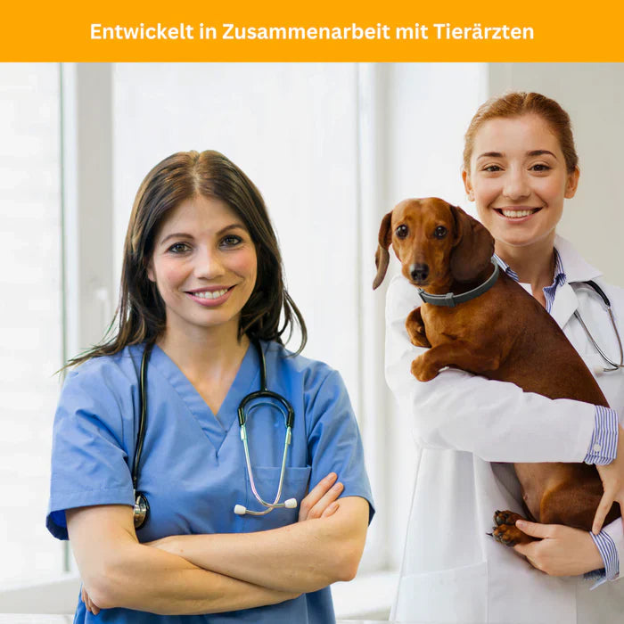 Floh- und Zeckenschutz Halsband für Hunde-5