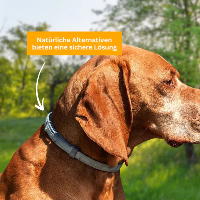 Floh- und Zeckenschutz Halsband für Hunde-6