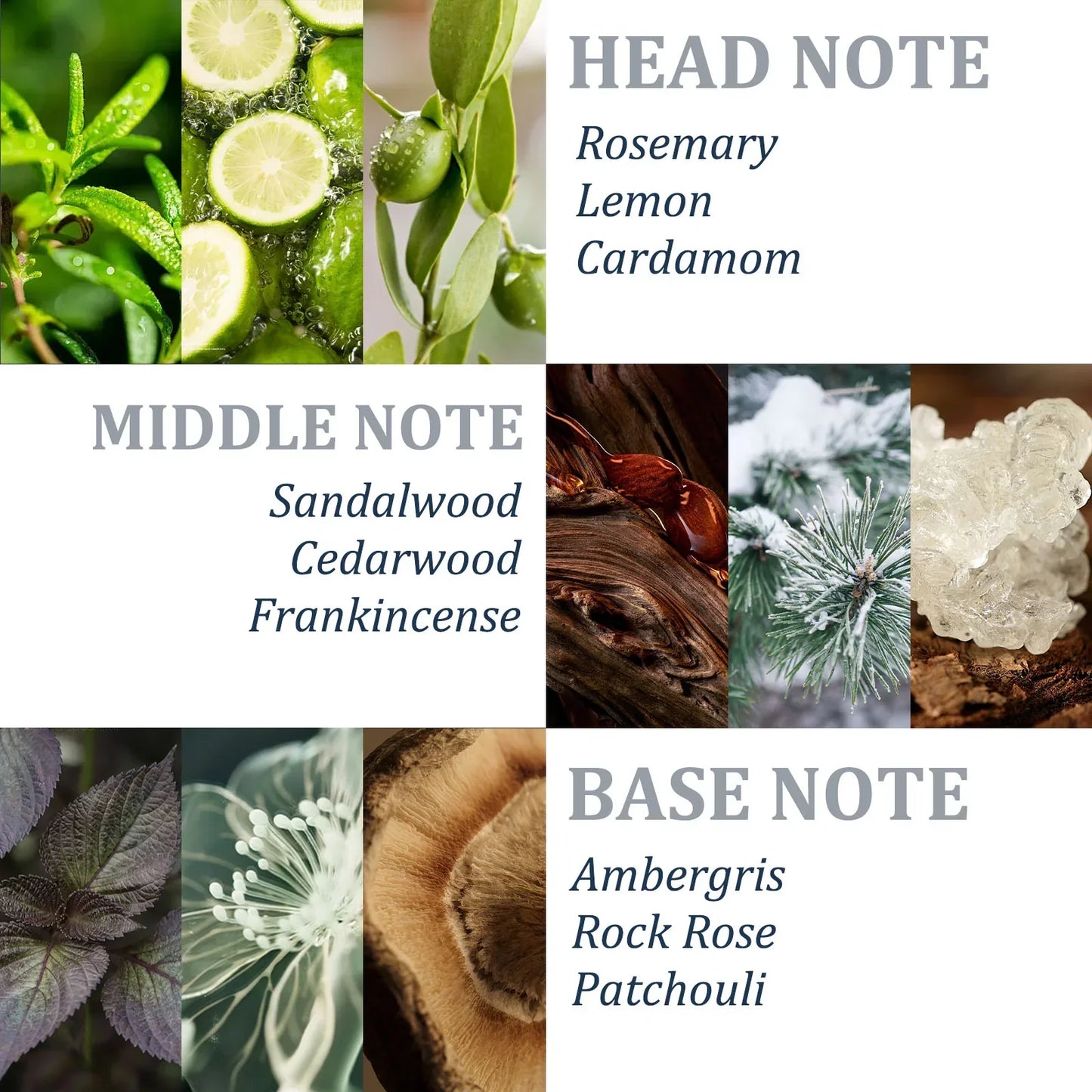 Tgideas Rosemary Shampoo-7
