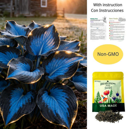 🔥Last day clearance🔥Premium Rare Hosta Seeds🌌Shade-Tolerant Plant-1