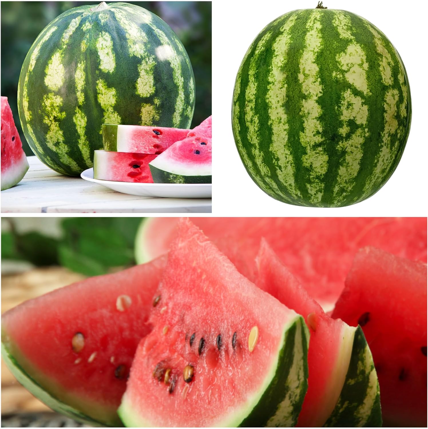 🍉Ruby Watermelon Pot Seeds🌱✨50 capsules-6