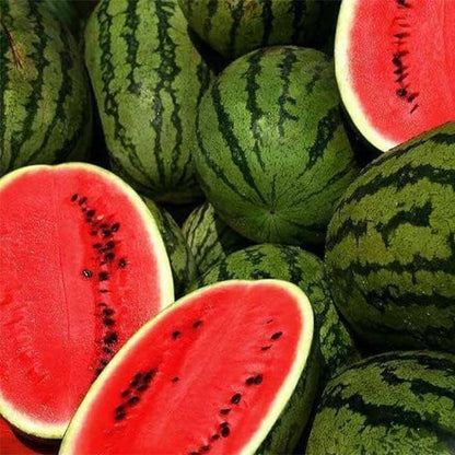 🍉Ruby Watermelon Pot Seeds🌱✨50 capsules