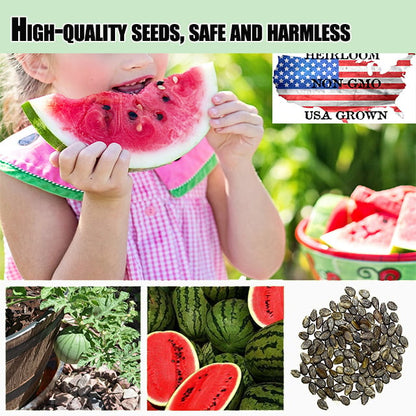 🍉Ruby Watermelon Pot Seeds🌱✨50 capsules-2