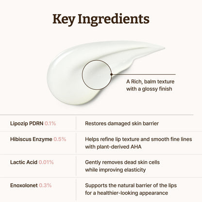 Dr. Reju-All Advanced PDRN - Rejuvenating Lip Serum - Moisturizing Lip Balm with Lipozip PDRN for Glossy, Dewy Lips - Gentle Exfoliating & Smoothing Lip Moisturizer - Hibiscus & Lactic Acid - 0.3 fl oz