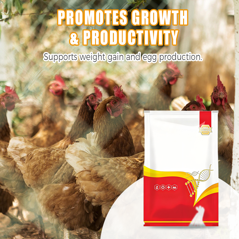 Natural Internal & External Poultry Dewormer for Chickens-3