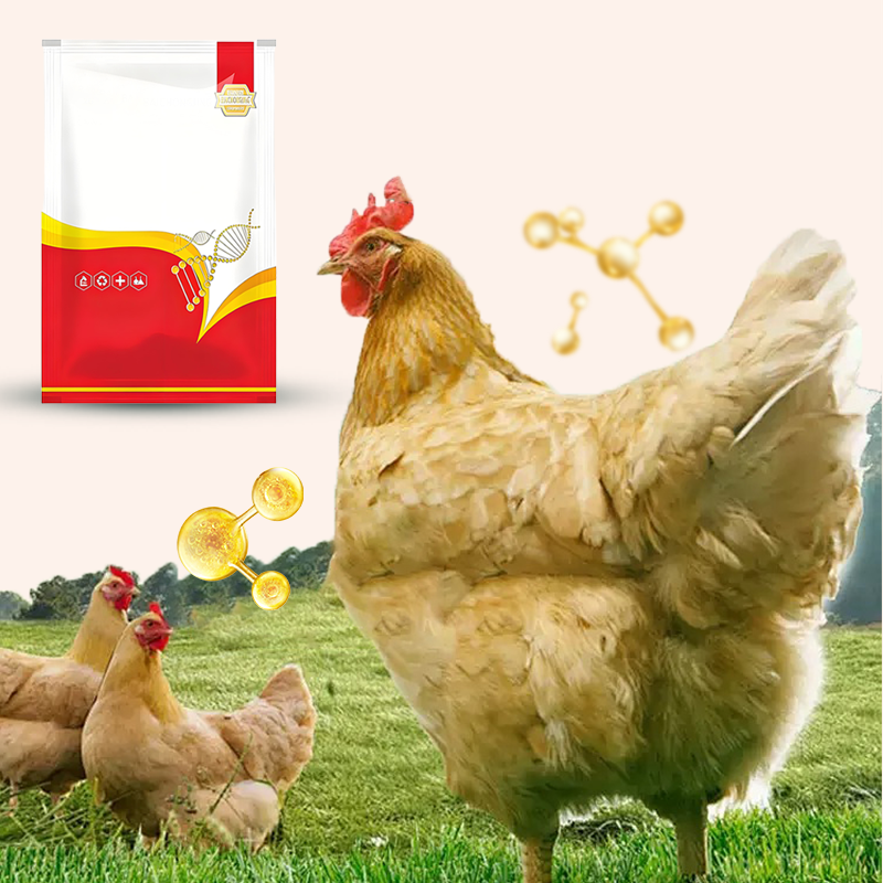 Natural Internal & External Poultry Dewormer for Chickens-4