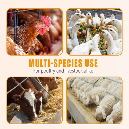 Natural Internal & External Poultry Dewormer for Chickens-7