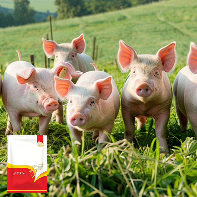 Natural Internal & External Poultry Dewormer for Chickens-8