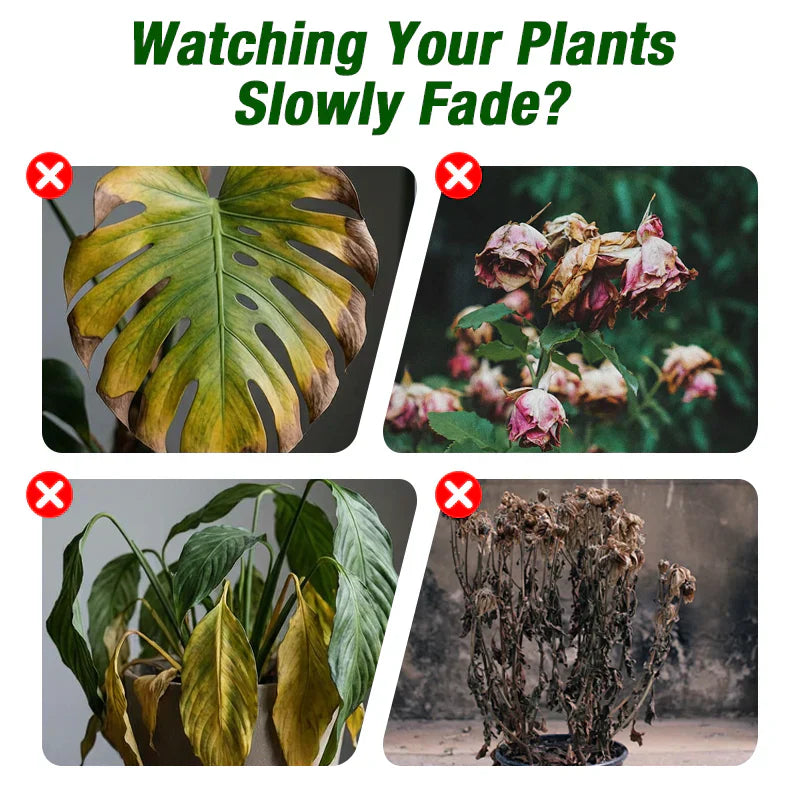 Plant Growth Liquid for Seedlings & Cuttings-1