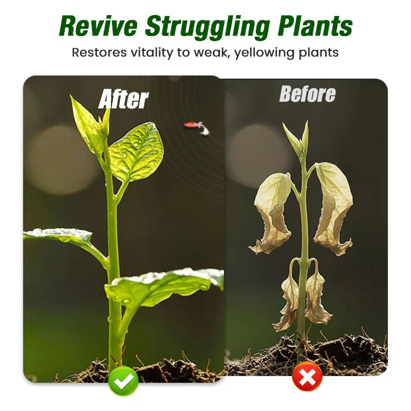 Plant Growth Liquid for Seedlings & Cuttings-2