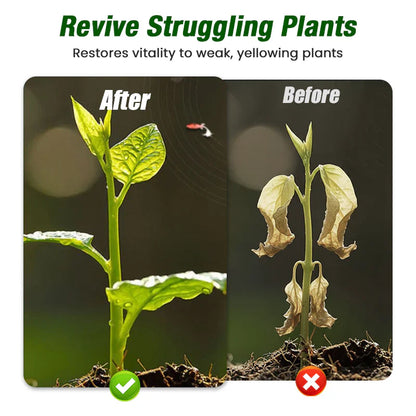 Plant Growth Liquid for Seedlings & Cuttings-2
