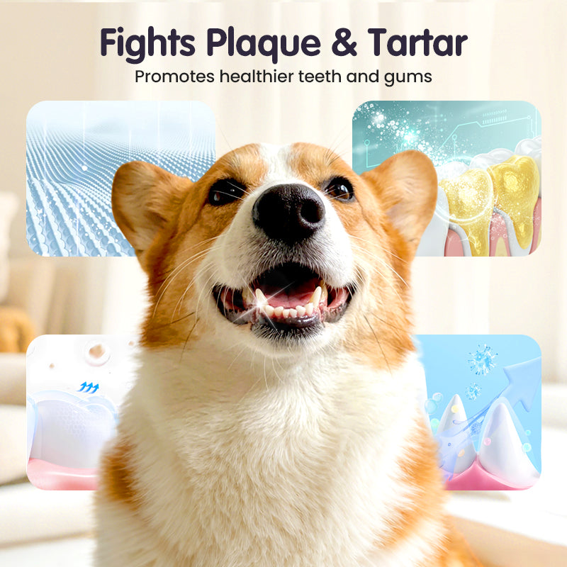 Teeth Cleaning Spray for Pets-3