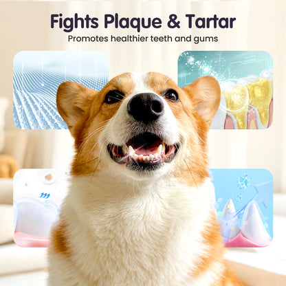 Teeth Cleaning Spray for Pets-3