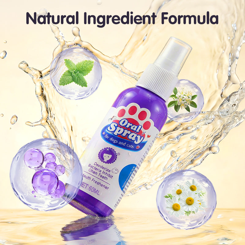 Teeth Cleaning Spray for Pets-4