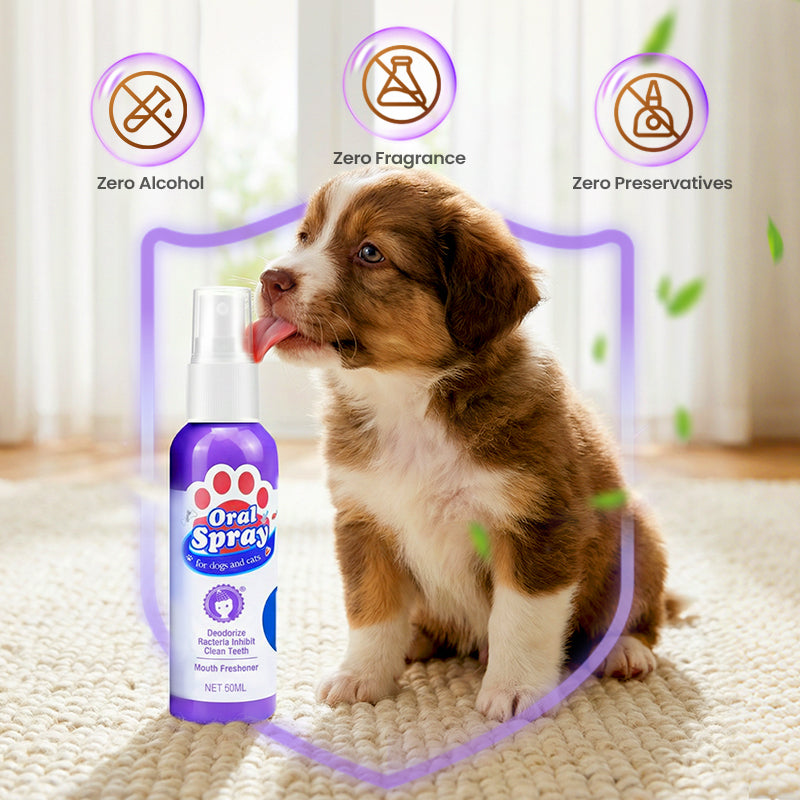 Teeth Cleaning Spray for Pets-5