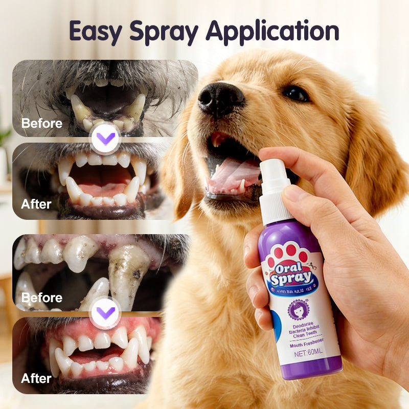 Teeth Cleaning Spray for Pets-7