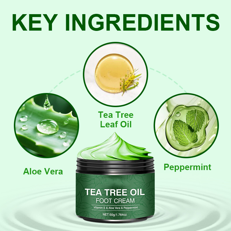 🥳2026 HOT SALE🥳💞50K+ SOLD!✨ 💝Soothing Aloe Vera & Tea Tree Foot Moisturizer-3